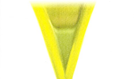 “oliAvi”, raccolta sull’olio a cura di Franca Battista