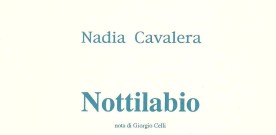 Francesco Muzzioli su “Nottilabio” di Nadia Cavalera