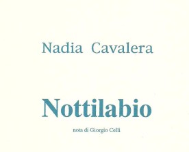 Francesco Muzzioli: “L’ “onirismo politico” di Nadia Cavalera”