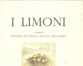 Autori  che si sono interessati al mio lavoro dal 1967