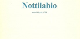 “Nottilabio”, Roma 1995