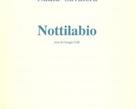 “Nottilabio”, Roma 1995