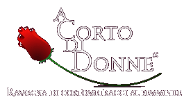 A corto di donne, VI edizione