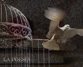 Su cometa radio, la poesia di Nadia Cavalera