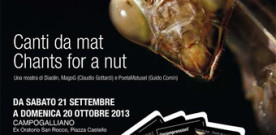 Canti da mat – Chants for a nut, a Campogalliano