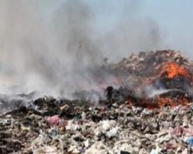 DALLE TERRE MAFIOMORRE, testo collettivo anonimo